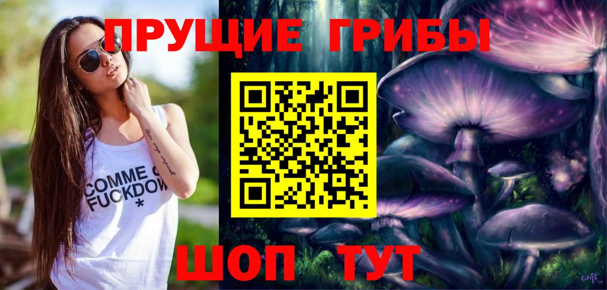 Псилоцибиновые грибы Cubensis Зерноград