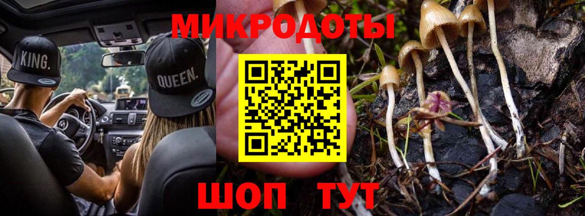Зерноград  Галлюциногенные грибы GOLDEN TEACHER  Вход с VPN 